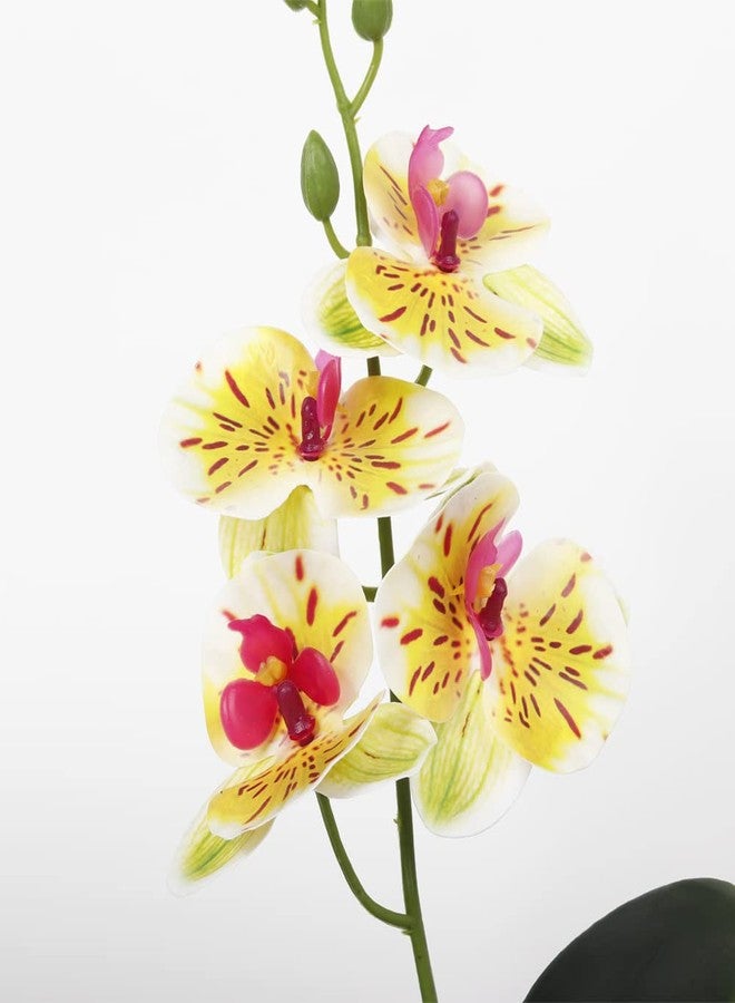 WOLEDOE Fake Orchids Artificial Flowers, Reptile Terrarium Decor Plants, Bearded Dragon Tank Habitat Accessories fit Crested Gecko Leopard Lizard Chameleon Ball Python Snake Frog - White - Image 5